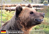 00121 (01)  Bärenwald Müritz