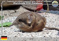 00122 (01)  ZOO Leipzig