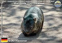 00174 (01)  ZOO Hannover