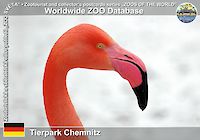00176 (01)  Tierpark Chemnitz