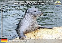 00221 (01)  NaturZoo Rheine