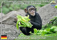 00354 (01)  ZOOM Erlebniswelt Gelsenkirchen