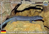 00405 (01)  Aquazoo & Löbbecke-Museum Düsseldorf