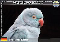 00475 (01)  Vogelpark Eslarn