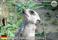 00476 (01)  Wildpark Osterzgebirge Geising