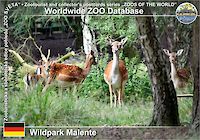 00972 (01)  Wildpark Malente