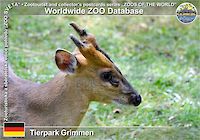 01044 (01)  Tierpark Grimmen
