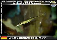 01057 (01)  Ostsee Erlebniswelt Heiligenhafen