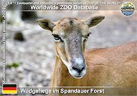 01065 (01)  Wildgehege im Spandauer Forst