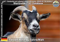 01067 (01)  Tierpark Nordhag Dahme/Mark