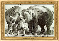 0014-009-01  Menagerie Het Loo