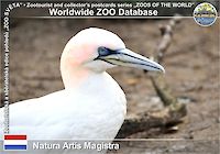 00602 (01)  Natura Artis Magistra