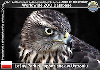 00030 (01)  Leśny Park Niespodzianek w Ustroniu