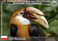 00300 (01)  ZOO Warszawa