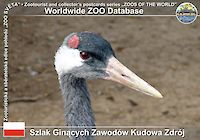 00303 (01)  Szlak Ginących Zawódow Kudowa Zdrój