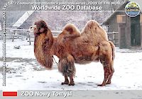 00347 (01)  ZOO Nowy Tomyśl