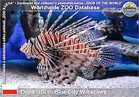 00414 (01)  Oceanarium Blue City Warszawa