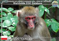 00646 (01)  Mini ZOO "Cicho-sza"