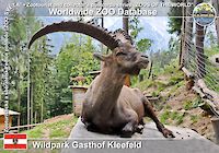 00486 (01)  Wildpark Gasthof Kleefeld