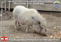 00793 (01)  Kinderparadies Wirtshaus zur Minidamfbahn