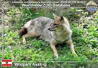00795 (01)  Wildpark Assling