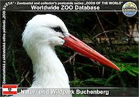 00799 (01)  Natur- und Wildpark Buchenberg