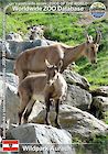 00832 (01)  Wildpark Aurach