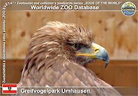 00841 (01)  Greifvogelpark Umhausen