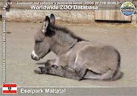 00843 (01)  Eselpark Maltatal