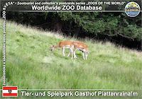 00848 (01)  † Tier- und Spielpark Gasthof Plattenrainalm