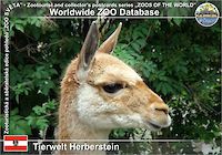 00850 (01)  Tierwelt Herberstein