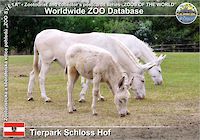 00851 (01)  Tierpark Schloss Hof