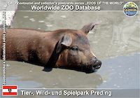 00857 (01)  Tier-, Wild- und Spielpark Preding
