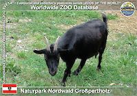 00865 (01)  Naturpark Nordwald Großpertholz