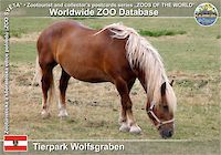 00868 (01)  Tierpark Wolfsgraben