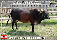 00862 (01)  Streichelzoo Diakonie Linzerberg