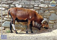 00662 (01)  ZOO Florina