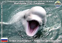 00090 (01)  Anapa Dolphinarium