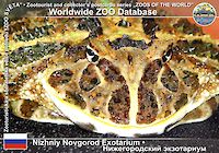 00091 (01)  Niznyy Novgorod Exotarium