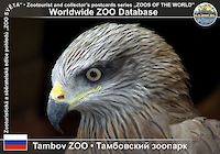 00132 (01)  Tambov ZOO