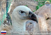 00481 (01)  ZOO "limpopo" Nizniy Novgorod