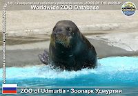 00766 (01)  ZOO of Udmurtia