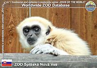 00214 (01)  ZOO Spišská Nová Ves