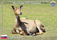00219 (01)  ZOO Hoffer