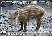 00248 (01)  ZOO Park Rožman