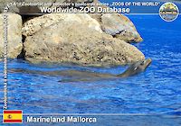 00489 (01)  Marineland Mallorca