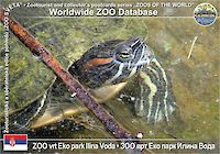 00585 (01)  ZOO Eko park Ilina Voda