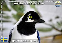 01021 (01)  Tropicariet Helsingborg