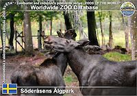 01022 (01)  Söderåsens Älgpark