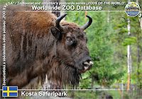 01023 (01)  Kosta Safaripark